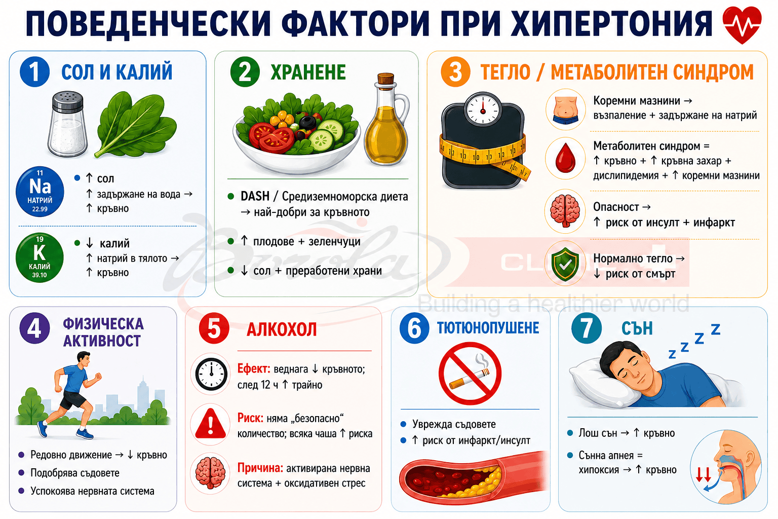 Поведенчески фактори при хипертония: сол, хранене, тегло, физическа активност, алкохол, тютюнопушене и сън. Инфографика, представяща основните поведенчески фактори при хипертония, включително прием на сол и калий, хранене, телесно тегло, физическа активност, алкохол, тютюнопушене и сън.