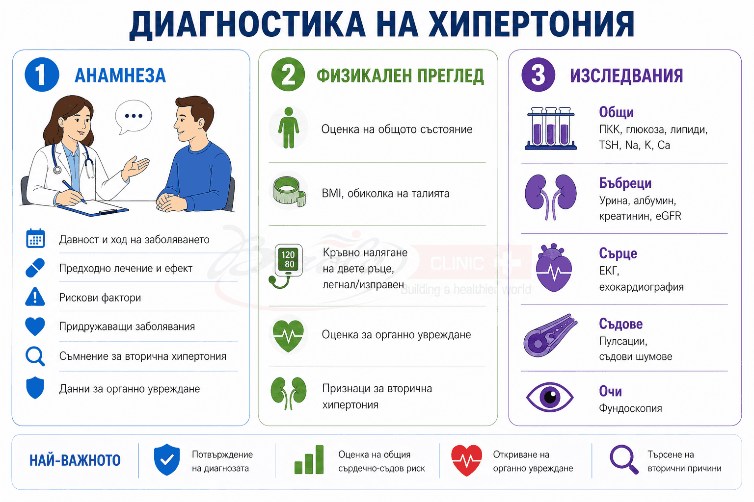 Диагностика на хипертония – анамнеза, физикален преглед и изследвания Инфографика за диагностика на хипертония, представяща анамнеза, физикален преглед и изследвания за оценка на кръвното налягане, органното увреждане и вторичните причини за хипертония.