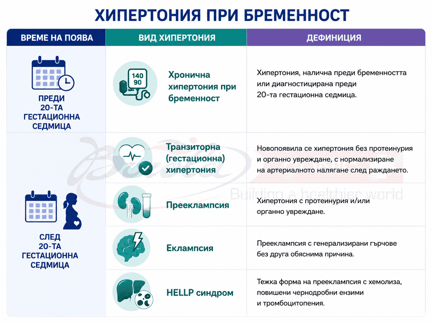 Инфографика, представяща основните видове хипертония при бременност Инфографика, представяща основните видове хипертония при бременност според времето на поява – хронична хипертония, гестационна хипертония, прееклампсия, еклампсия и HELLP синдром.